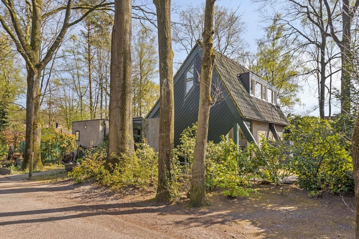 Foto 36 van Kievit 12-B273