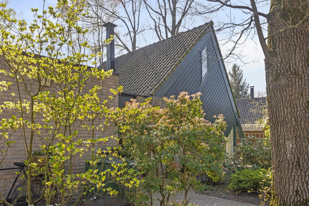 Foto 37 van Kievit 12-B273