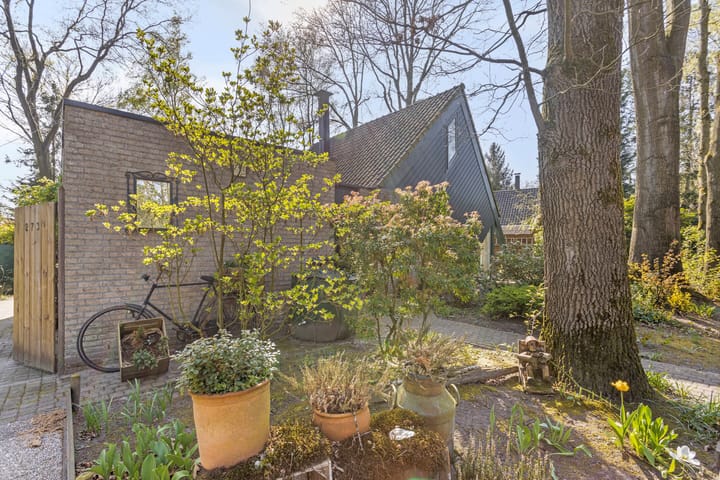 Foto 38 van Kievit 12-B273