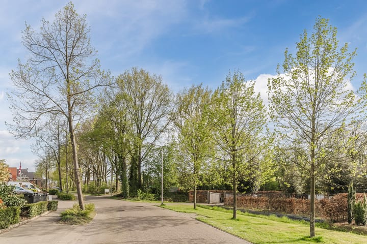 Foto 57 van De Brug 38