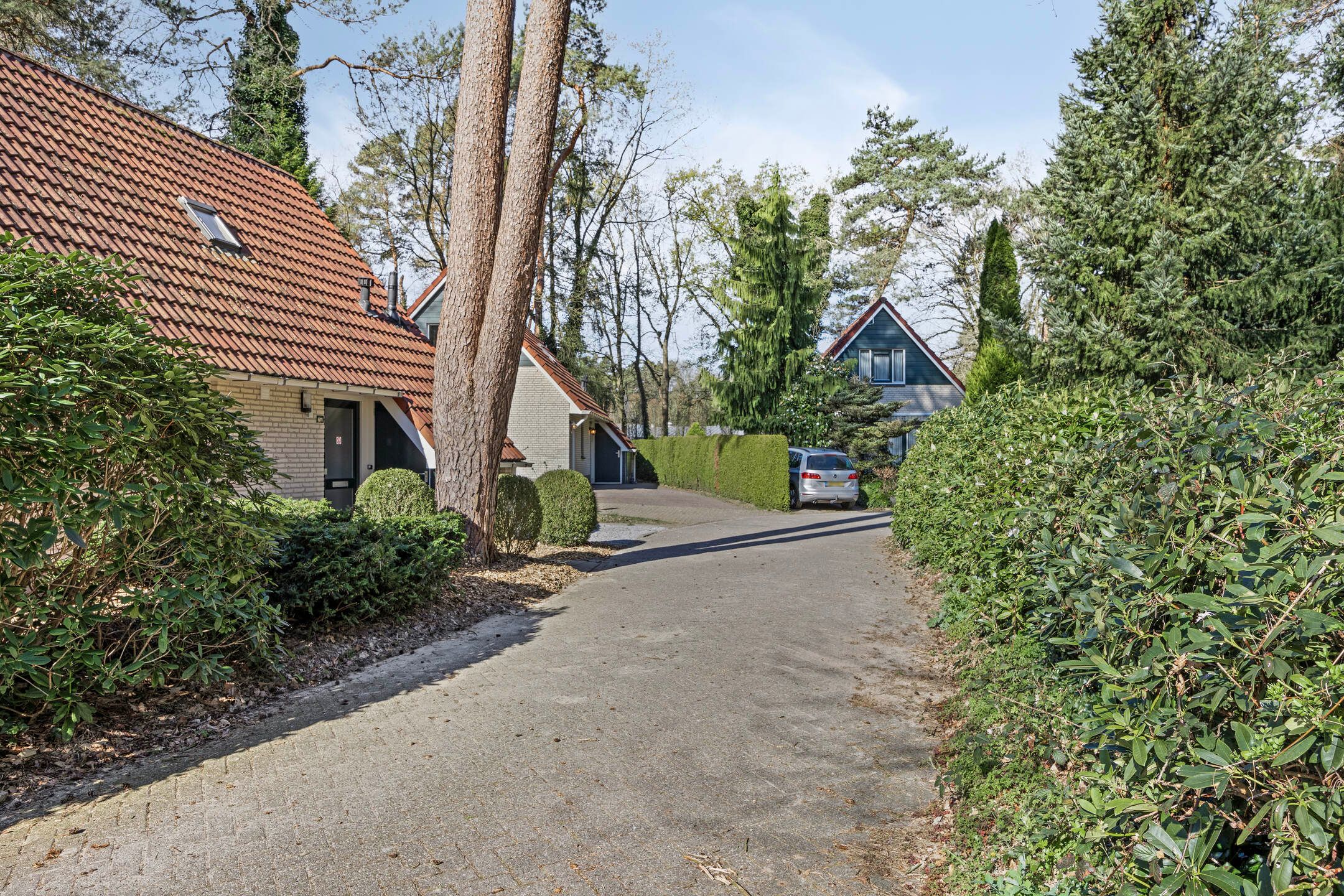 Foto 21 van Dwarsweg 6-612