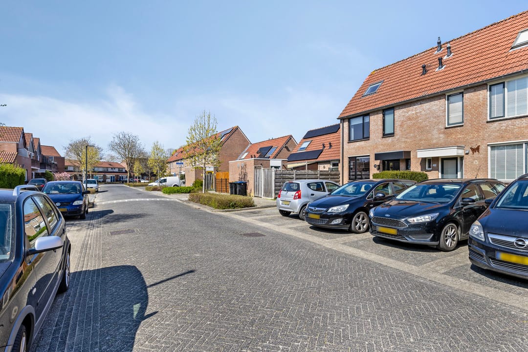 Foto 7 van Hondsrug 210