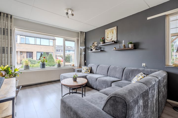 Foto 6 van Hunzedal 43