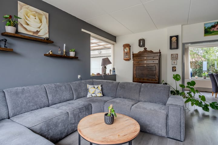 Foto 7 van Hunzedal 43