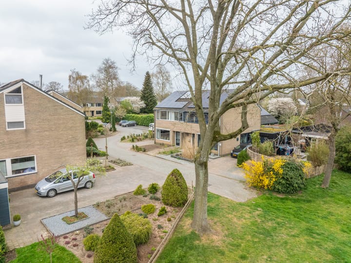 Foto 27 van Hunzedal 43