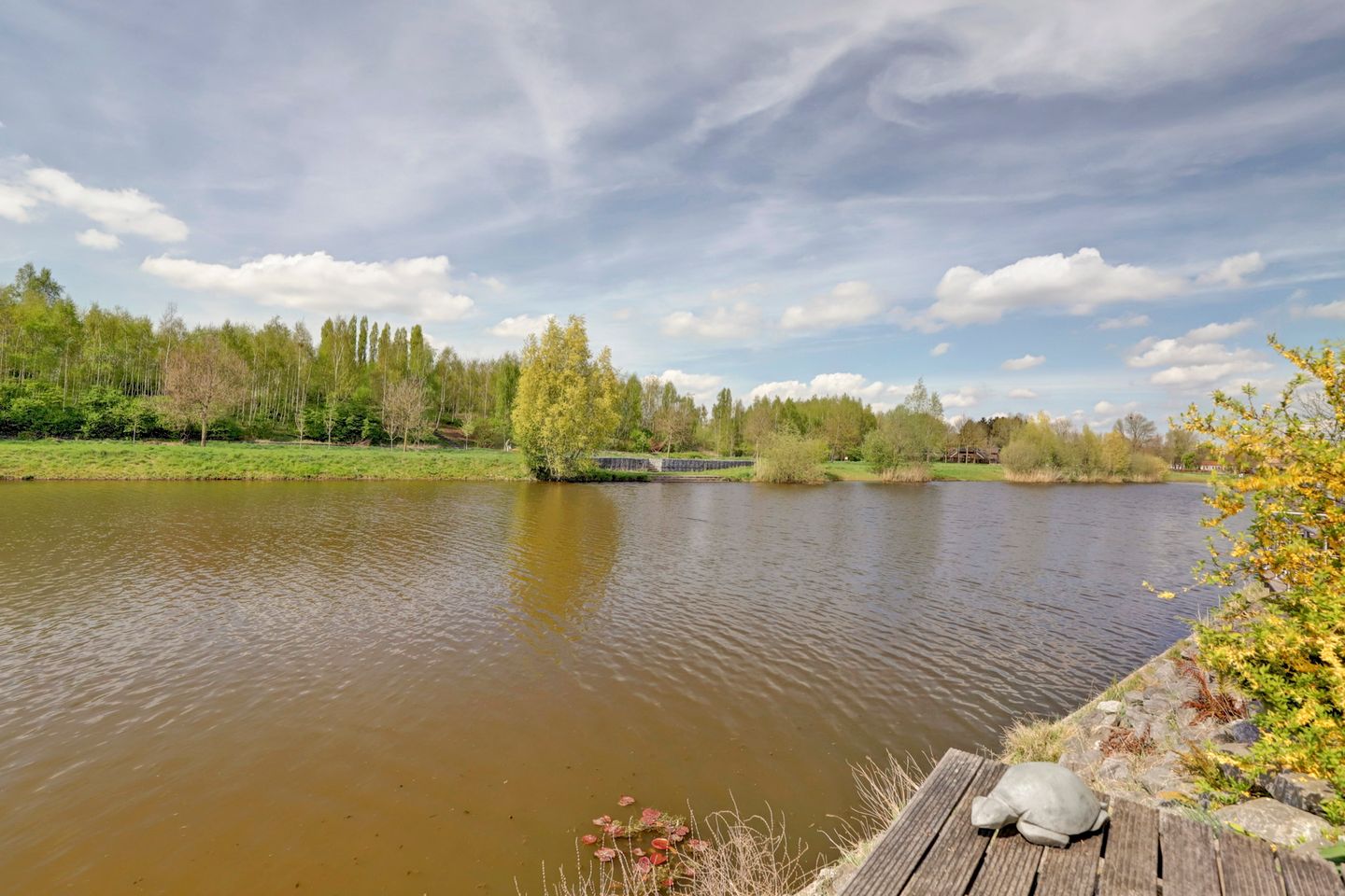 Photo 35 of Canadasingel 27