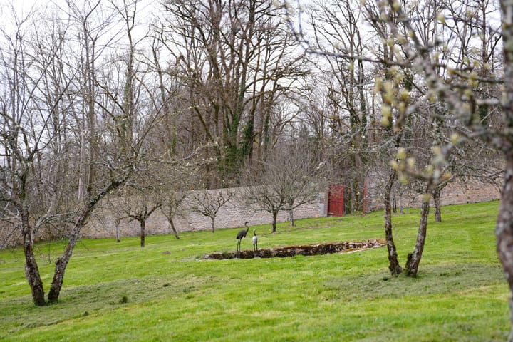 Foto 173 van Chateau de Montmartin