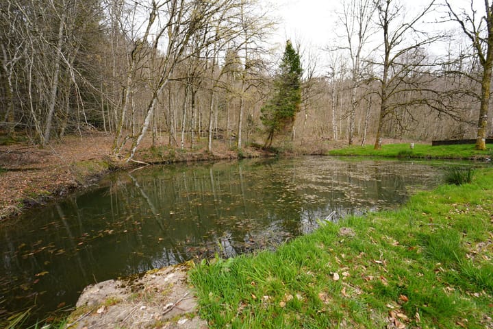 Foto 175 van Chateau de Montmartin