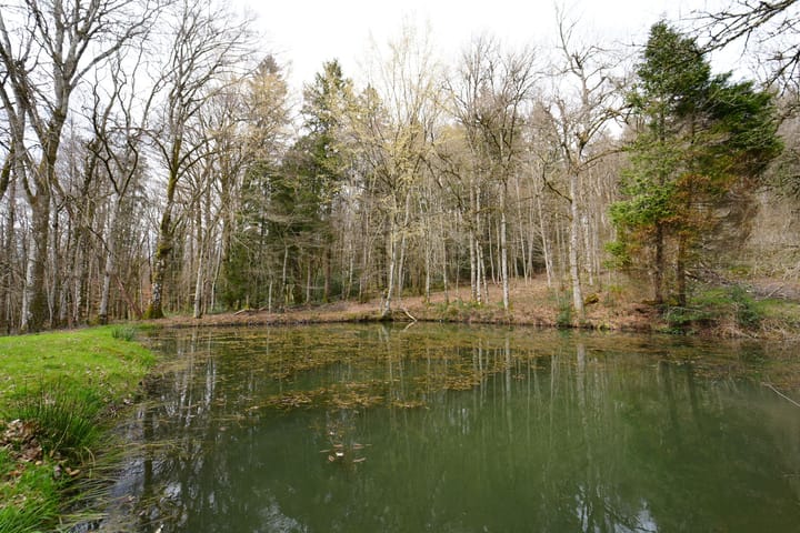 Foto 177 van Chateau de Montmartin