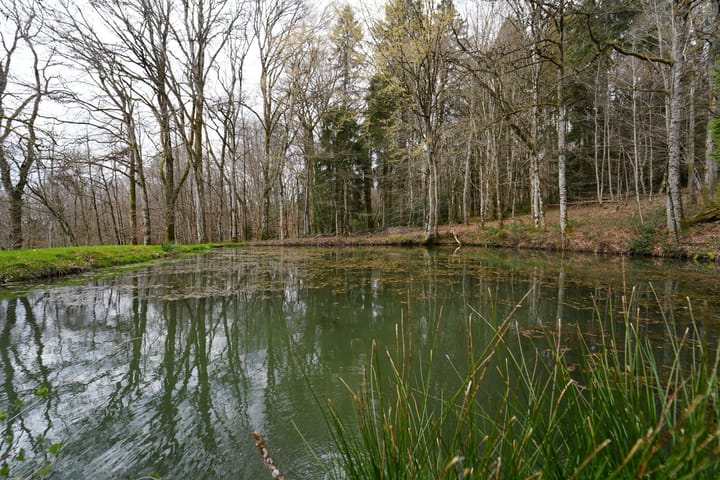 Foto 178 van Chateau de Montmartin