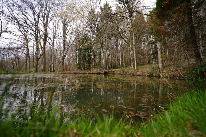 Foto 180 van Chateau de Montmartin