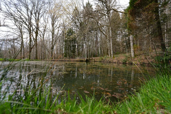 Foto 181 van Chateau de Montmartin