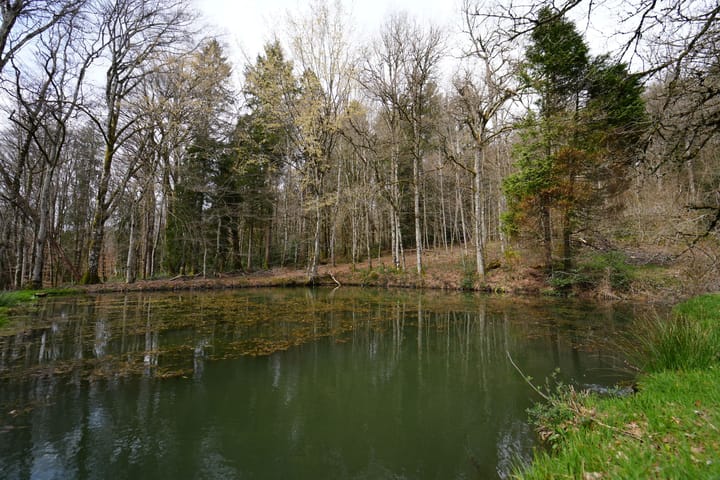 Foto 183 van Chateau de Montmartin