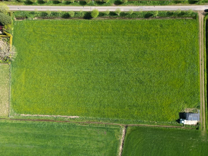 Photo 12 of Rotsestraat