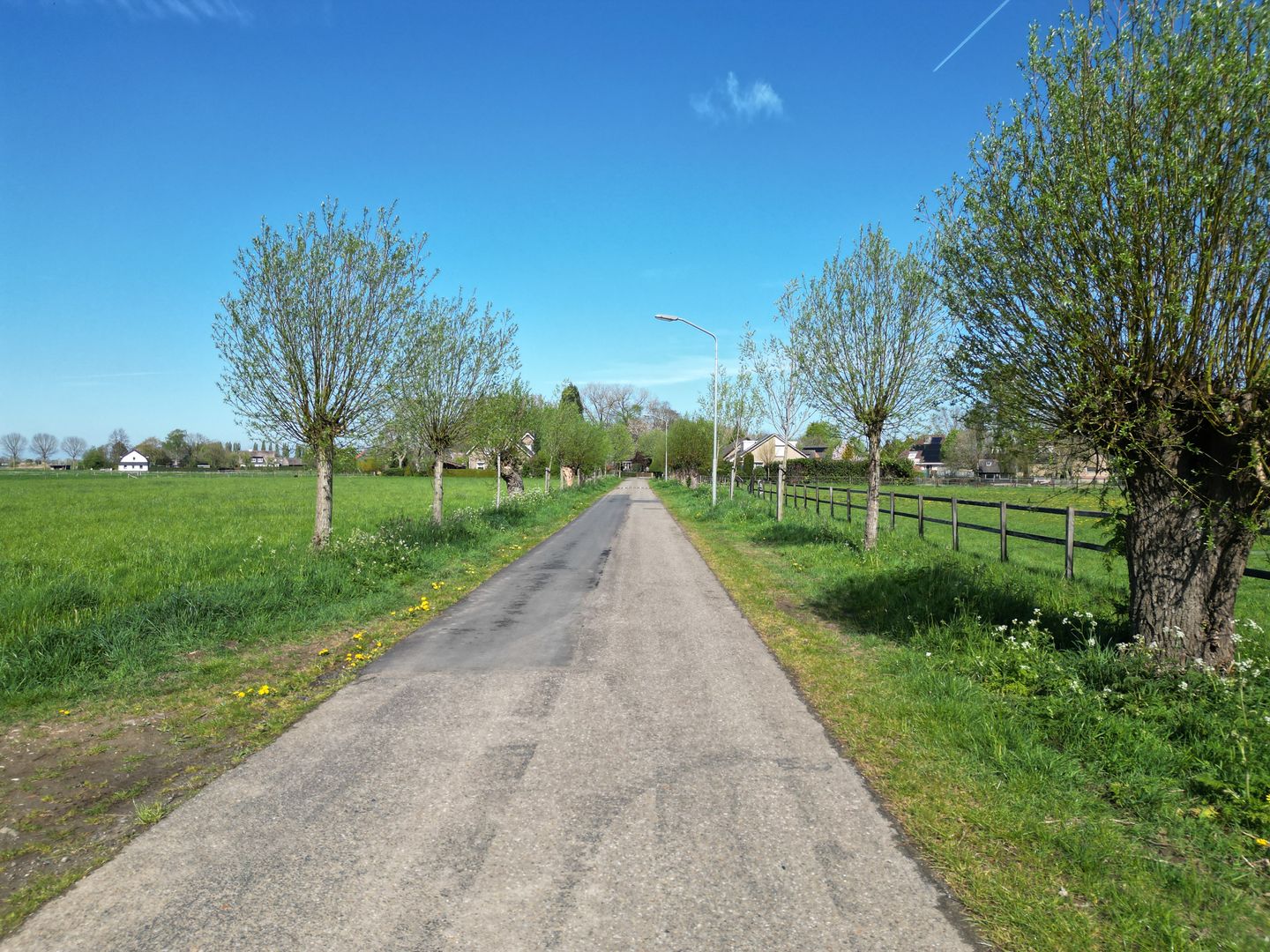 Photo 14 of Rotsestraat