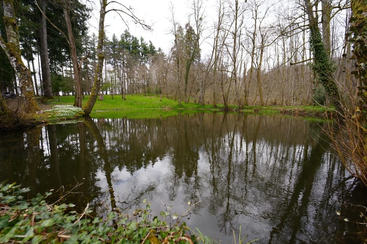 Foto 194 van Chateau de Montmartin