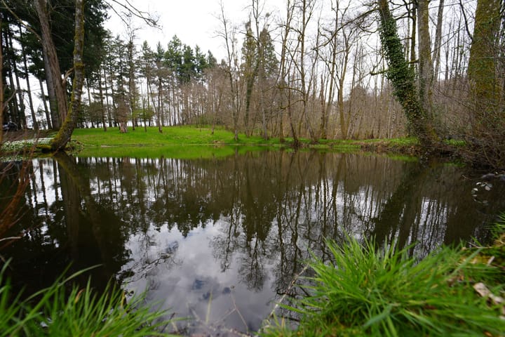 Foto 195 van Chateau de Montmartin