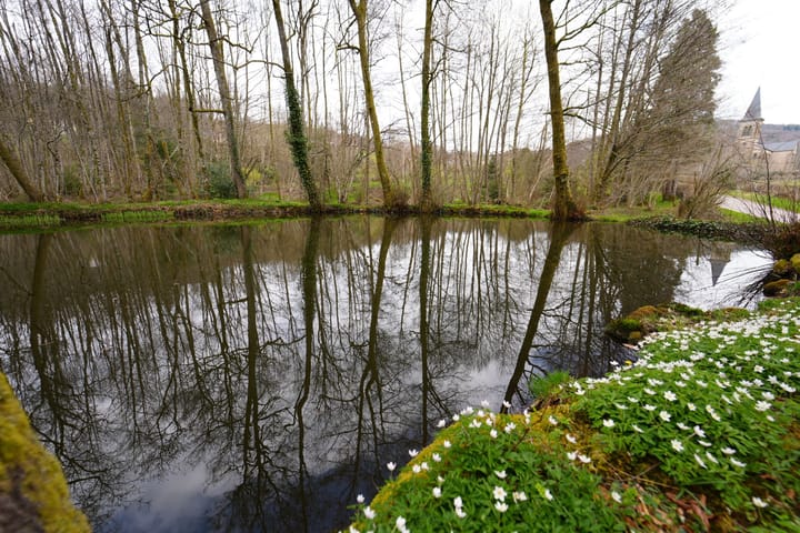 Foto 196 van Chateau de Montmartin