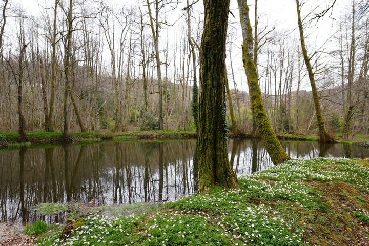 Foto 197 van Chateau de Montmartin