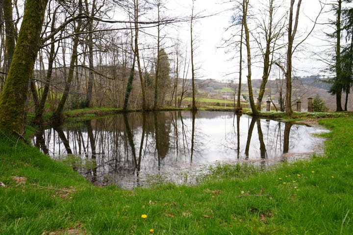 Foto 199 van Chateau de Montmartin