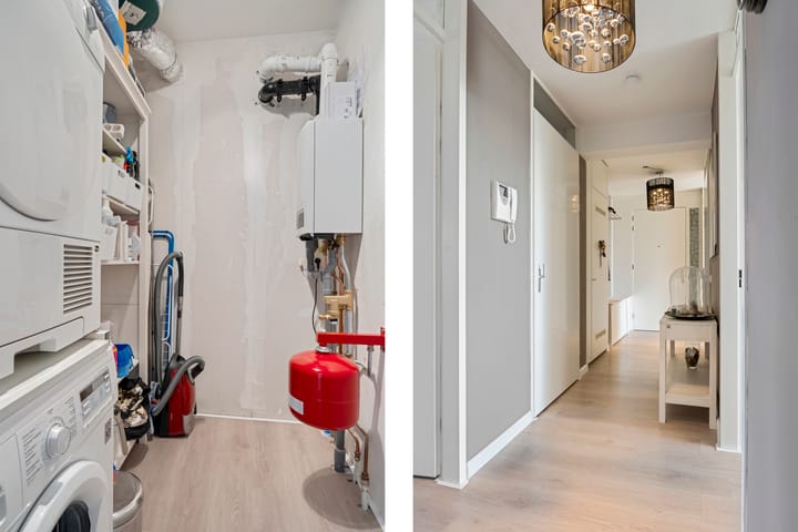 Foto 13 van Aruba 49