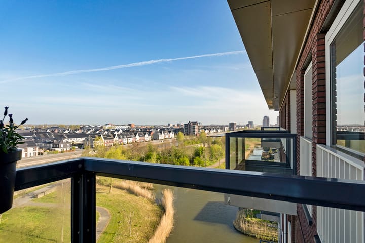 Foto 27 van Aruba 49