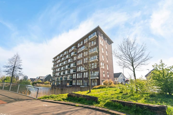 Foto 39 van Aruba 49