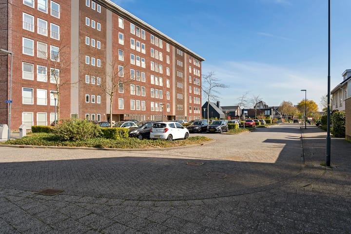 Foto 40 van Aruba 49