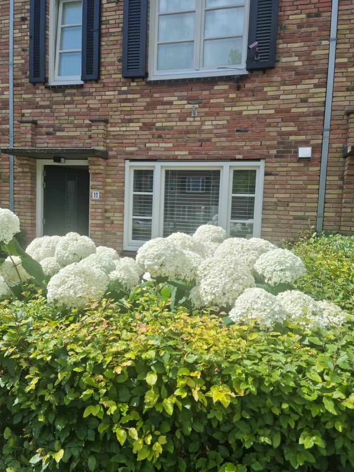 Foto 25 van Het Loo 11