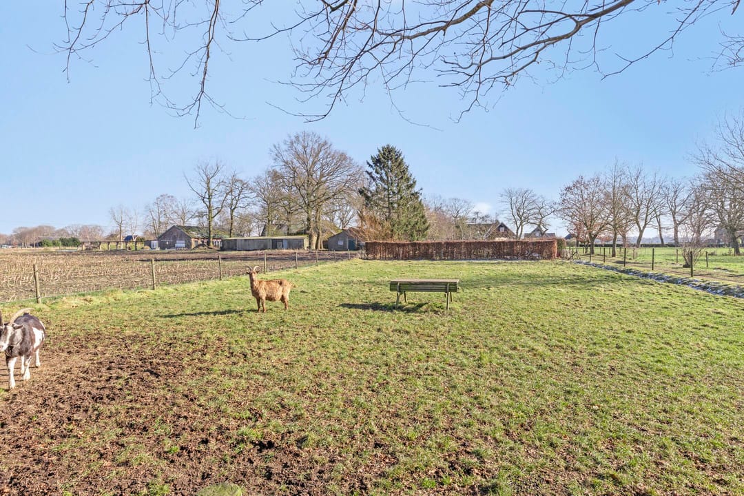 Foto 53 van Hoofdweg 14