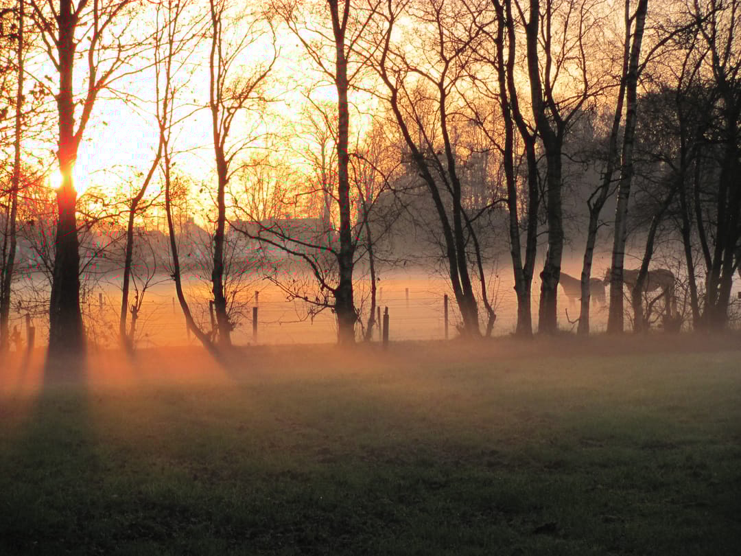 Foto 61 van Hoofdweg 14