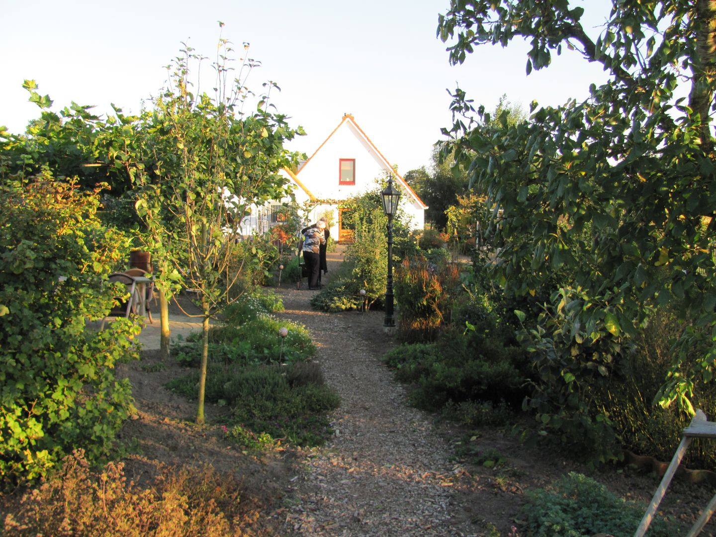 Foto 64 van Hoofdweg 14