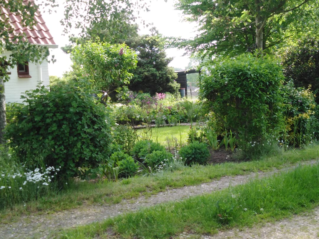 Foto 68 van Hoofdweg 14