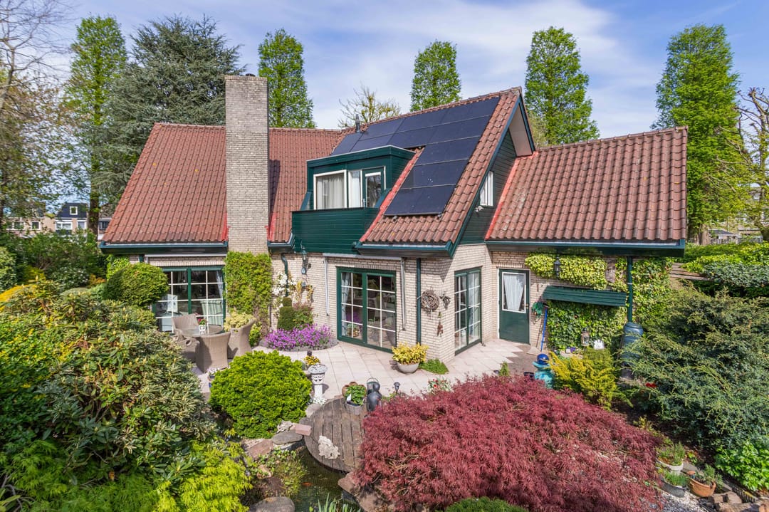 Foto 2 van Gentiaan 1