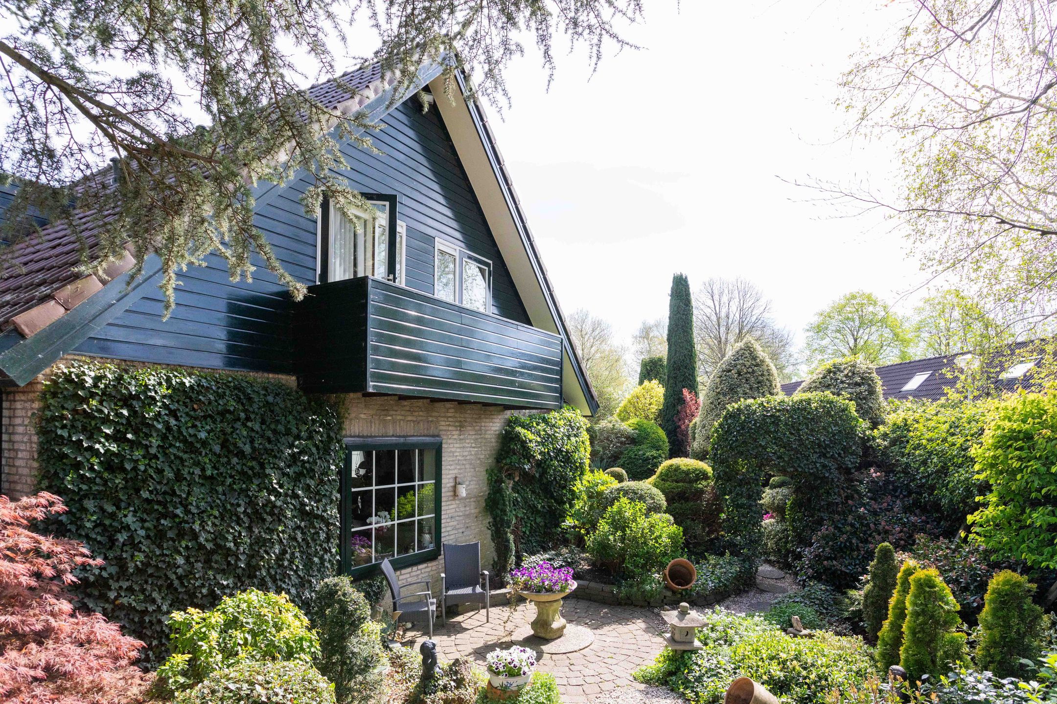 Foto 3 van Gentiaan 1