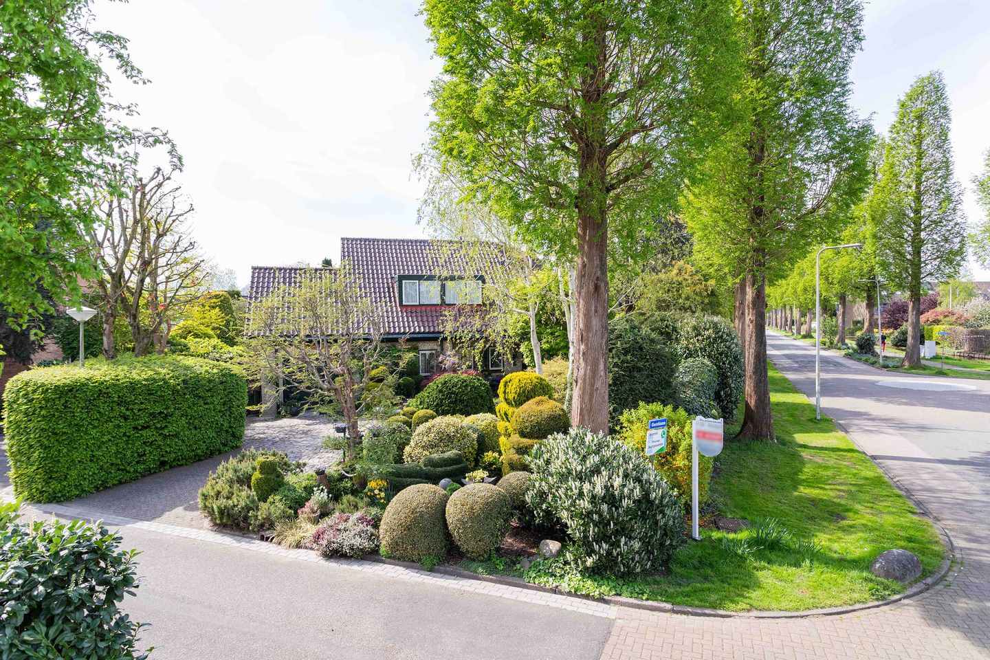 Foto 4 van Gentiaan 1