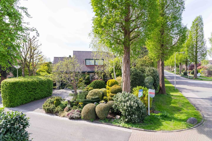 Foto 4 van Gentiaan 1