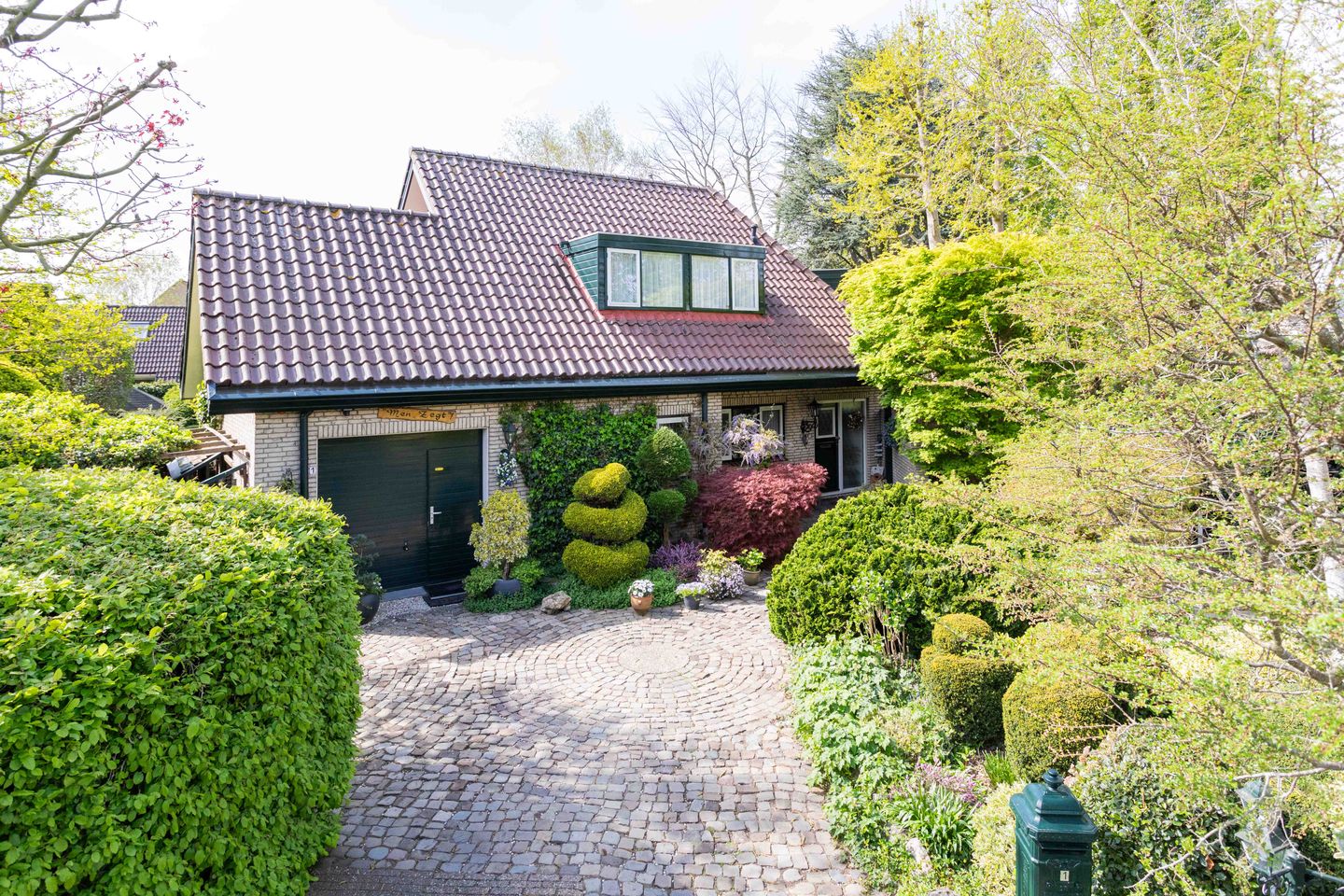 Foto 5 van Gentiaan 1