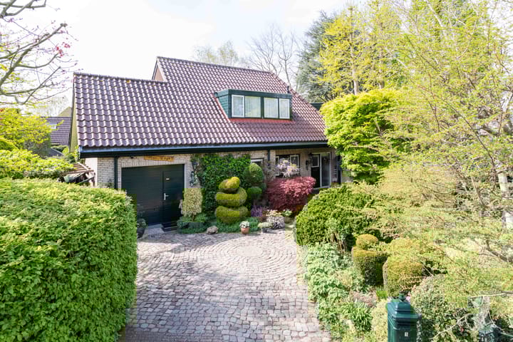 Foto 5 van Gentiaan 1