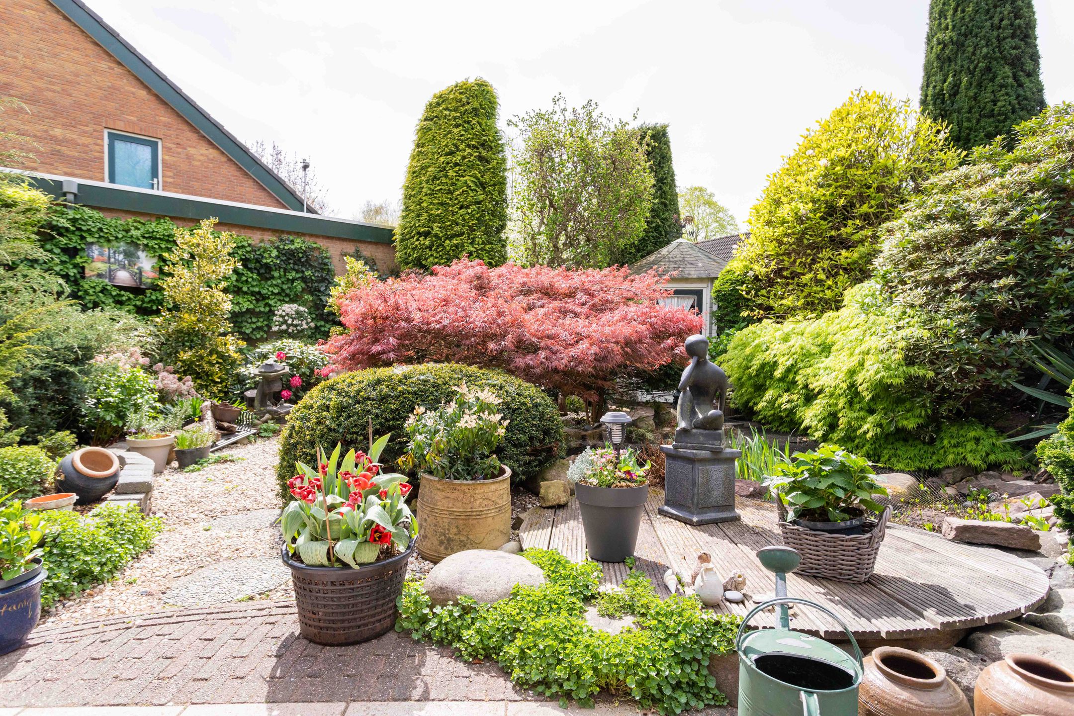 Foto 6 van Gentiaan 1