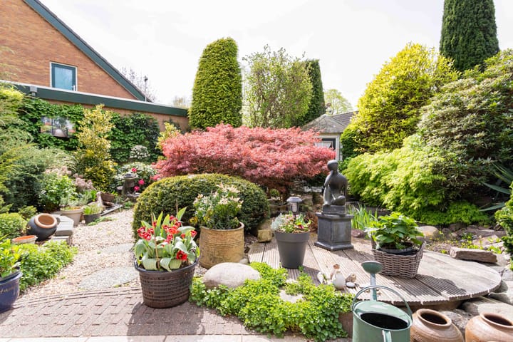 Foto 6 van Gentiaan 1