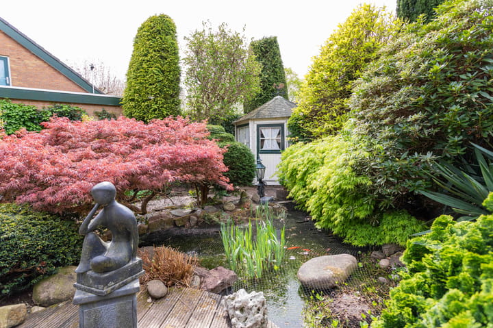 Foto 7 van Gentiaan 1