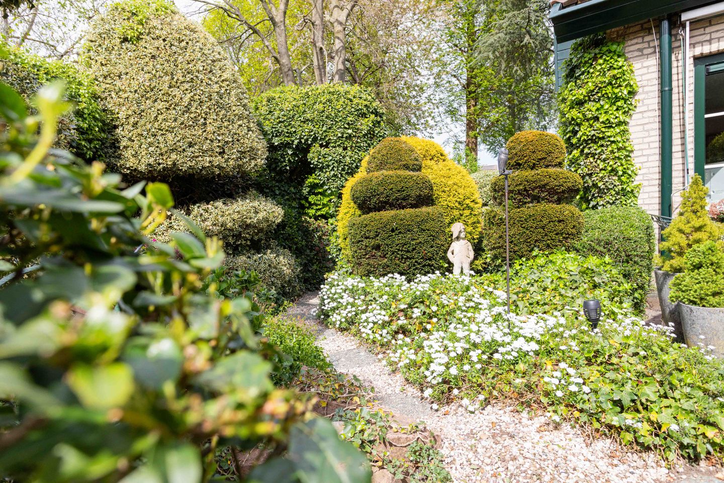 Foto 10 van Gentiaan 1