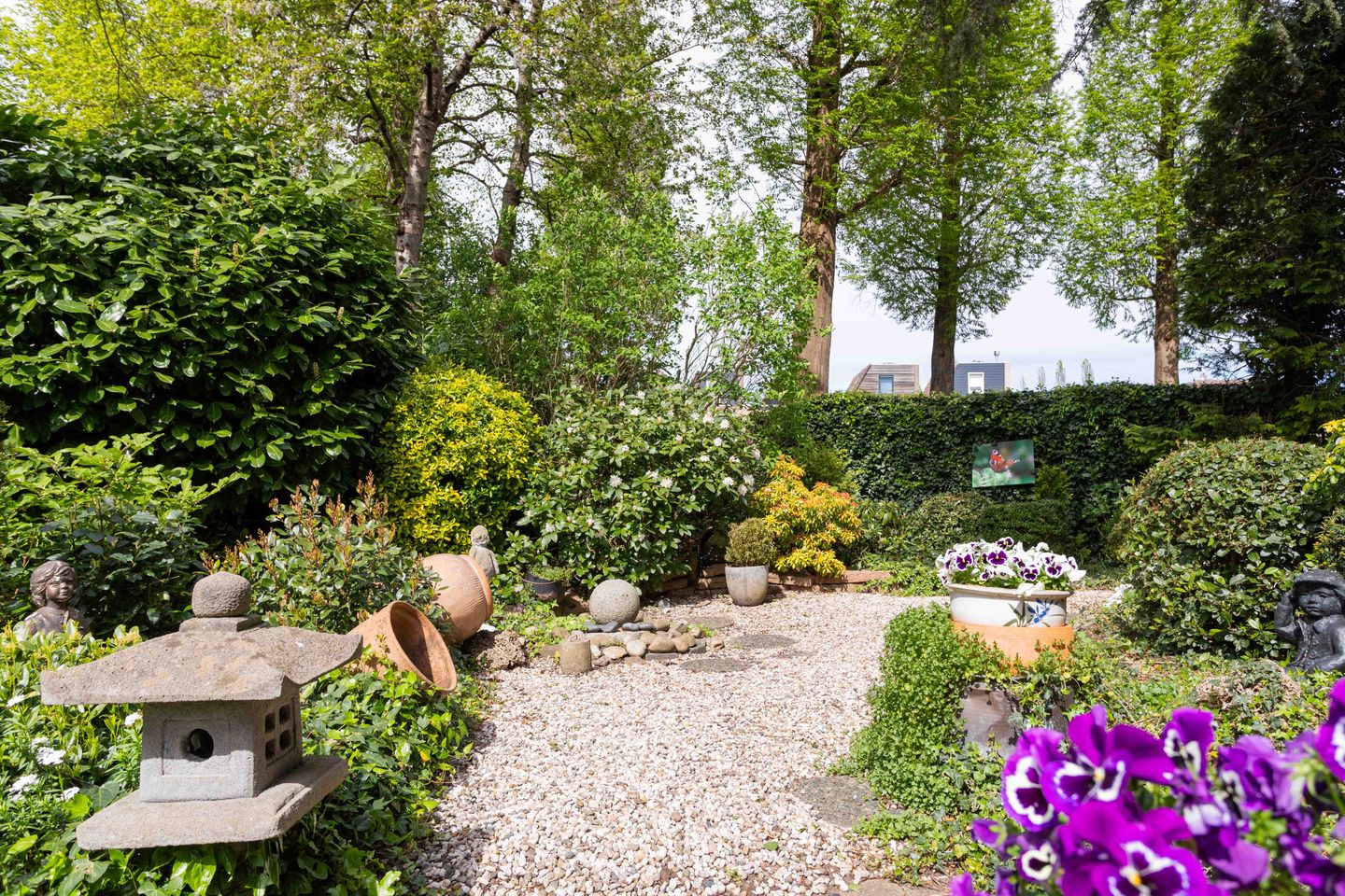 Foto 14 van Gentiaan 1