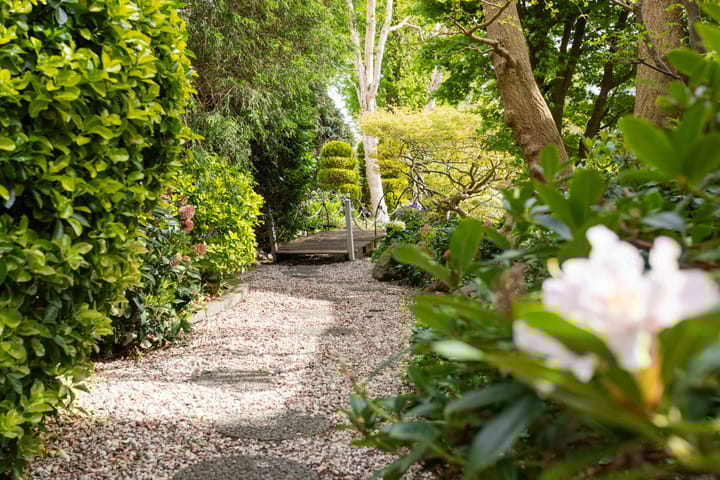 Foto 16 van Gentiaan 1