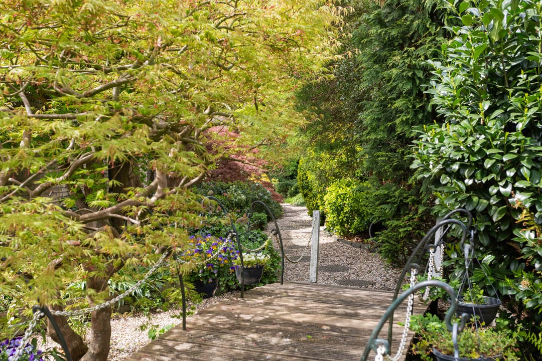 Foto 17 van Gentiaan 1