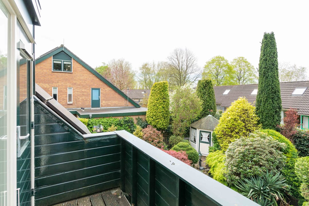 Foto 46 van Gentiaan 1