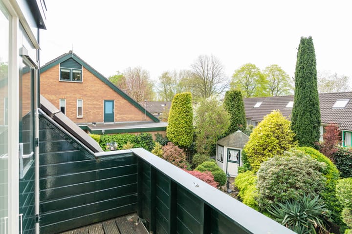 Foto 46 van Gentiaan 1