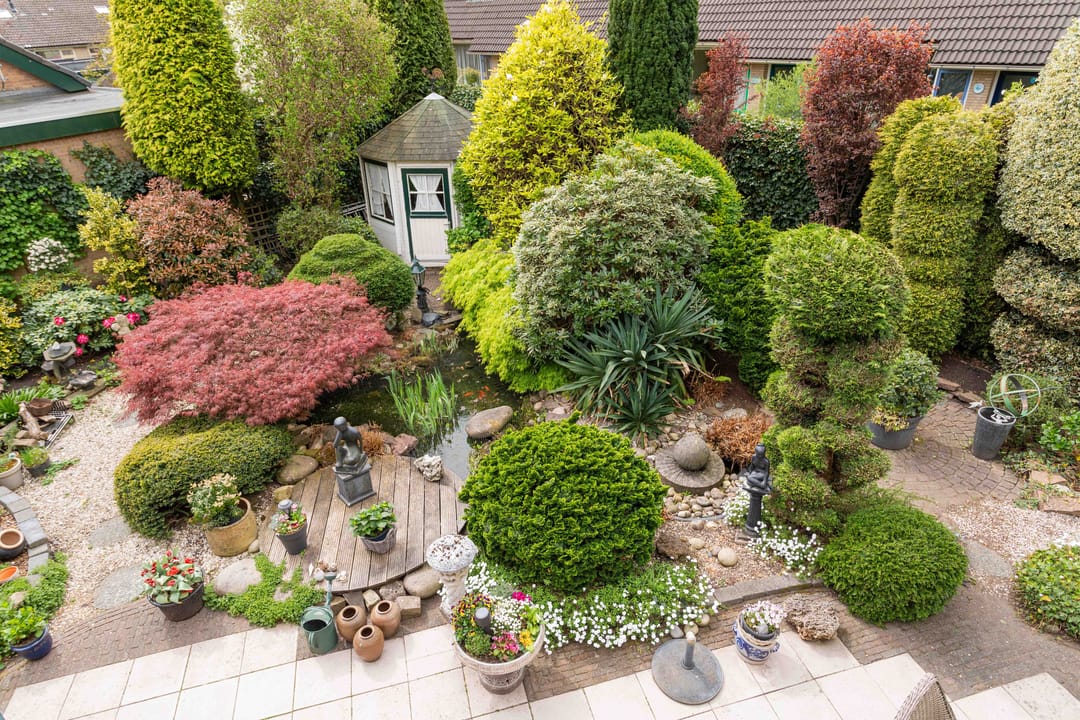 Foto 47 van Gentiaan 1