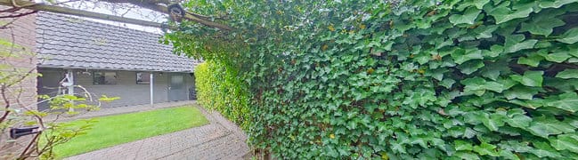 Achtertuin